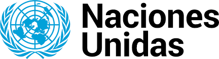 nacionesunidas Logo de organización Socialab